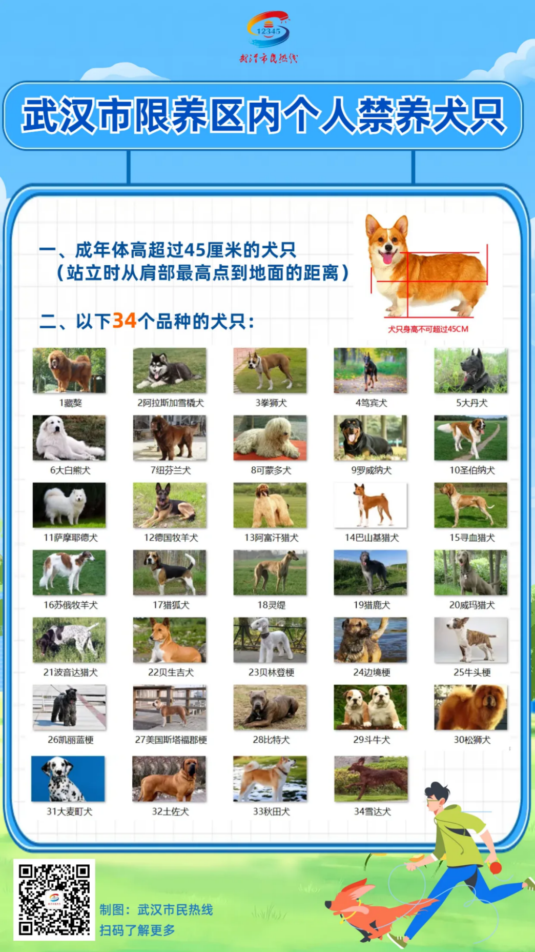 @湖北人 关于养犬 这些法规你需要了解!凤凰网湖北_凤凰网