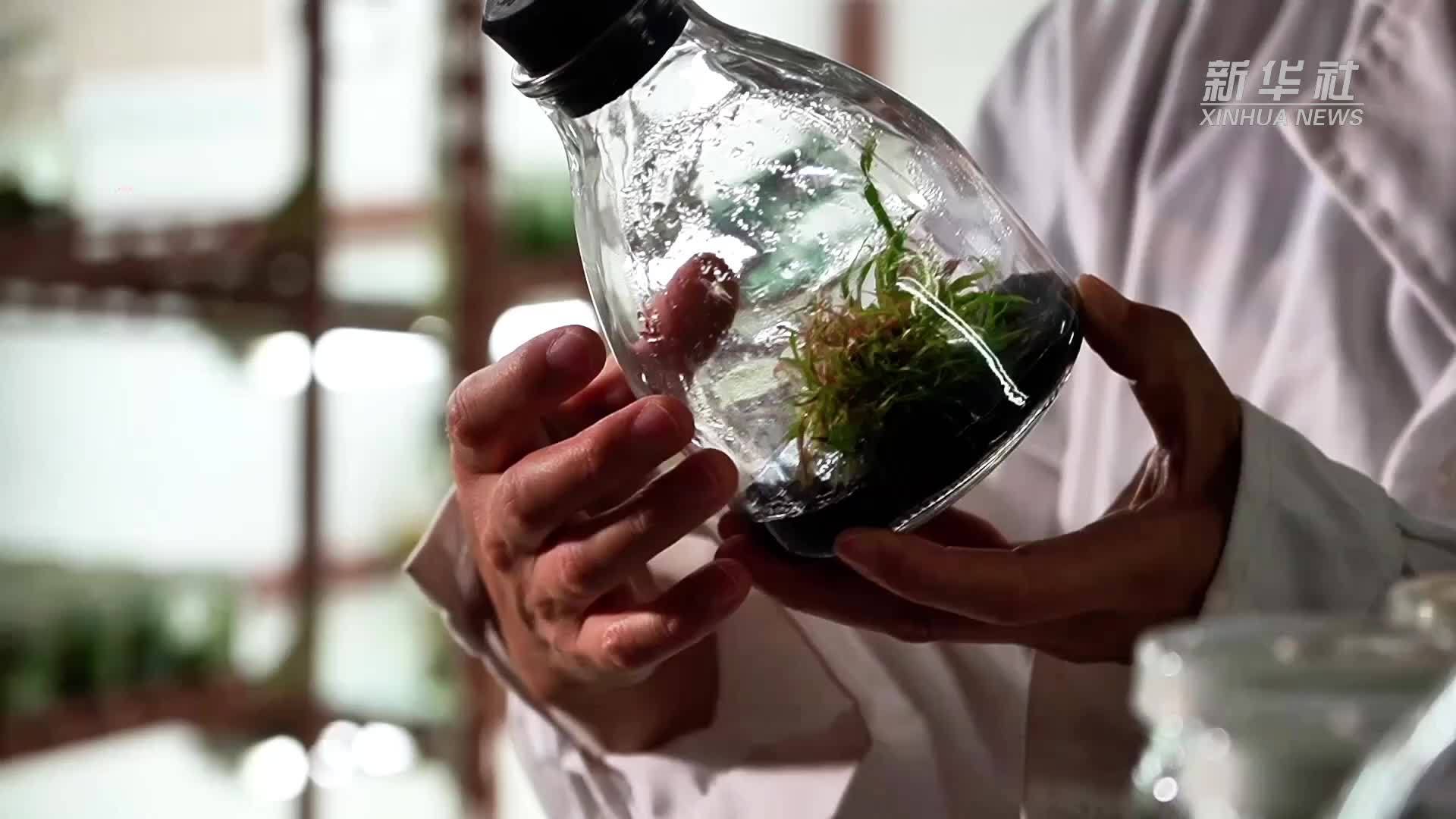 探访鼓浪屿上的“种子天堂”