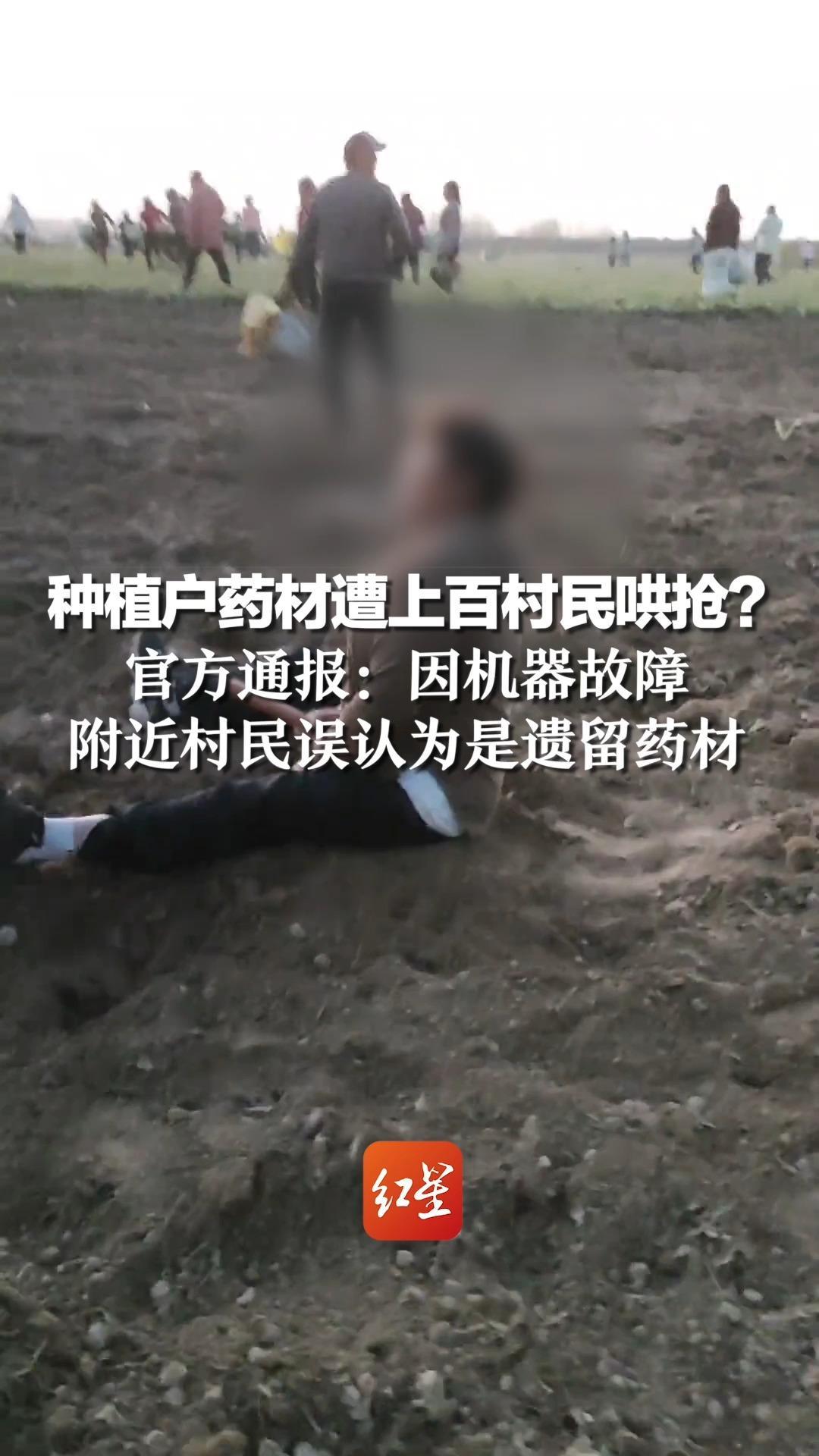 种植户药材遭上百村民哄抢？官方通报：因机器故障，附近村民误认为是遗留药材