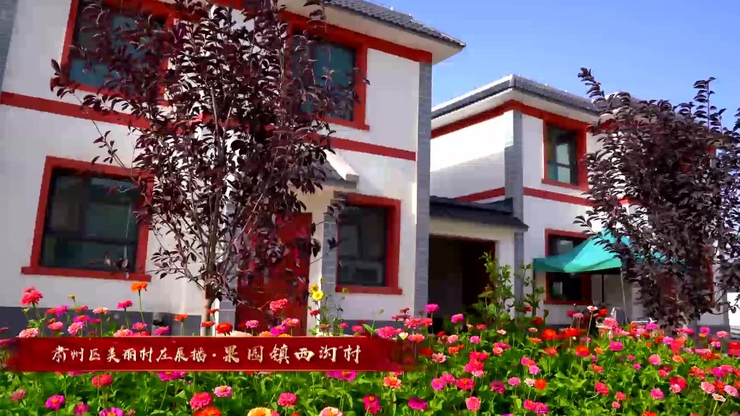 “乡”约肃州　每一处都是“颜值担当”