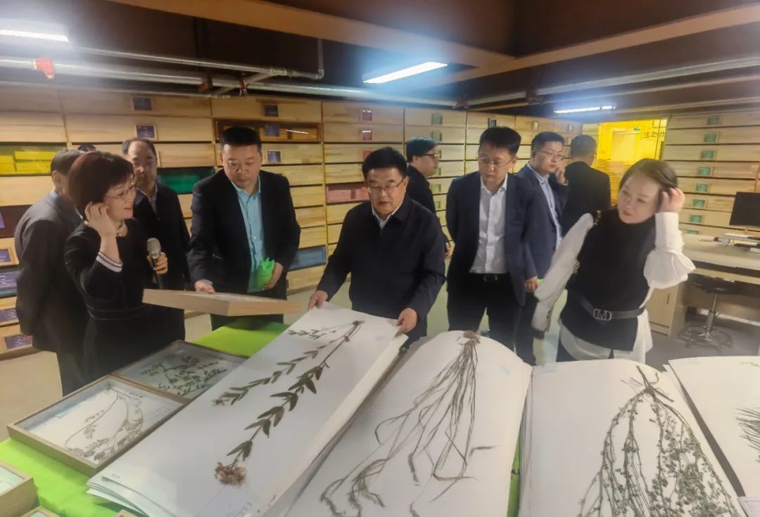 神木市委副书记,市长段智博调研蒙草生态凤凰网陕西_凤凰网