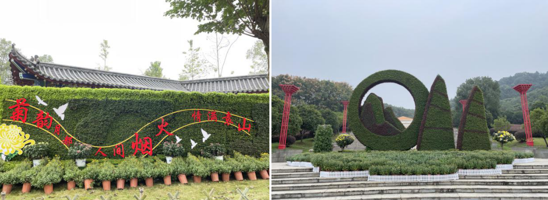 宜春第十届菊花展将于11月1日至11月30日举办