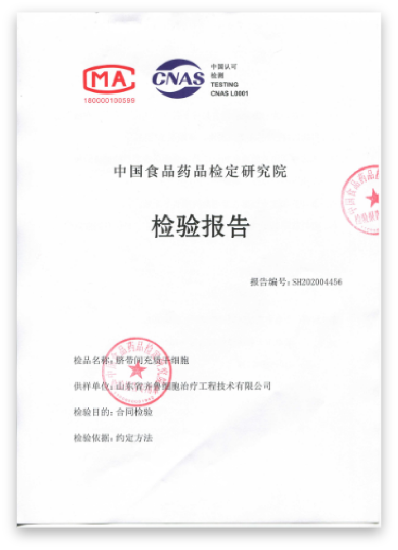 谭毅、王欣博士团队SCI最新研究成果:齐鲁细胞cGMP级干细胞治疗创面取得良好动物治疗效果