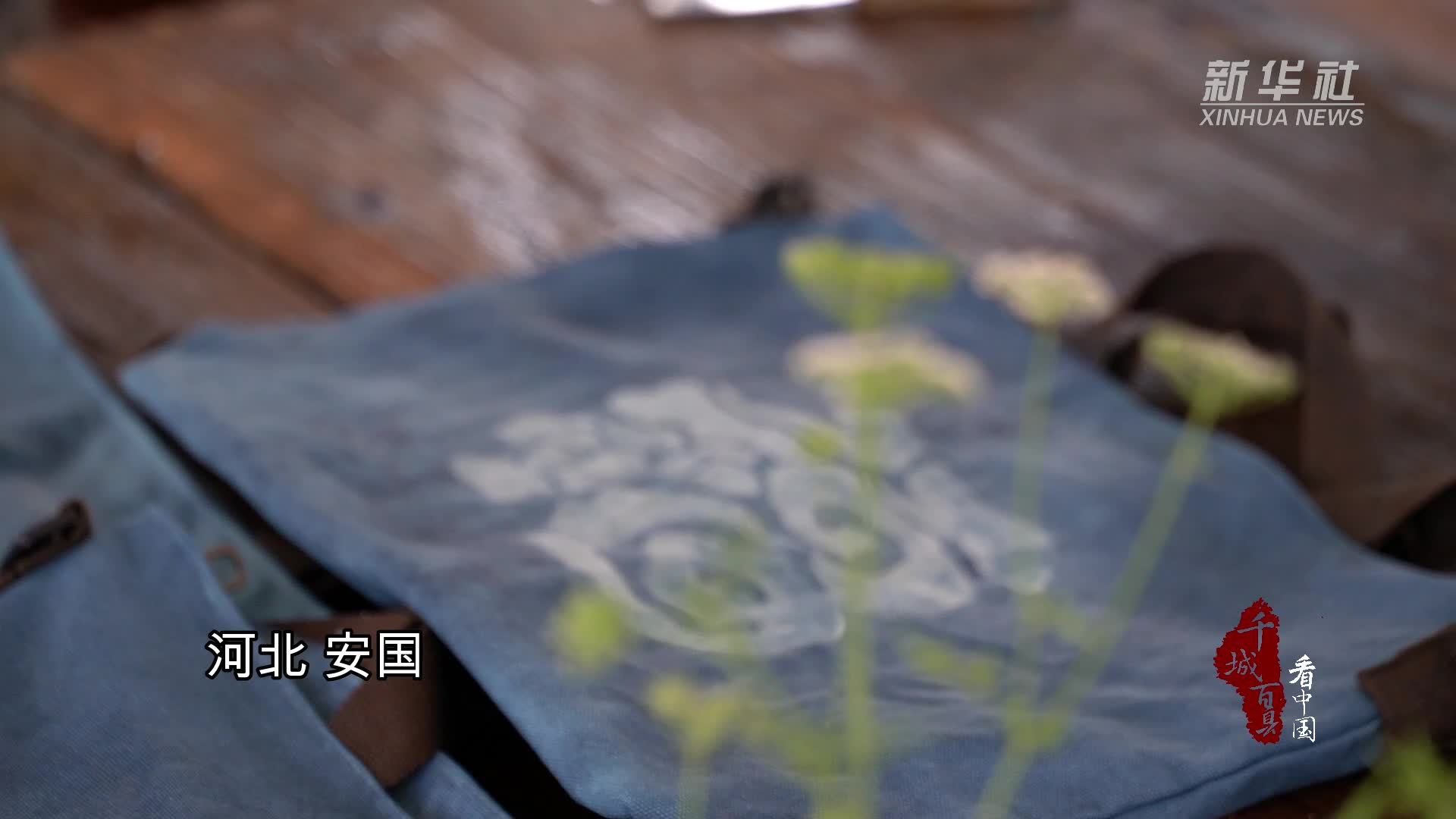 千城百县看中国·传承｜河北安国：蓝染漫卷诗情画 染出非遗文化美