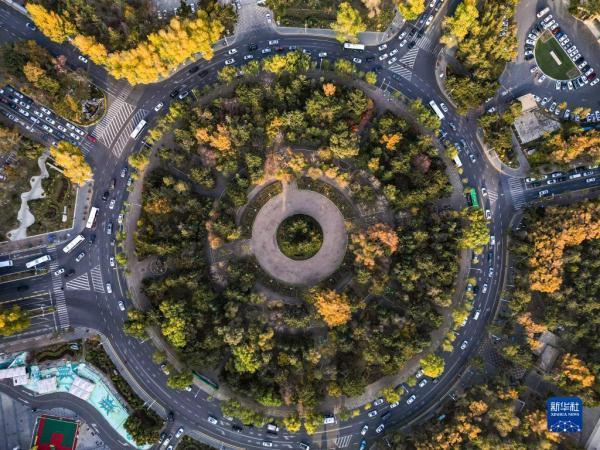 这是10月24日拍摄的长春市新民广场秋景（无人机照片）。