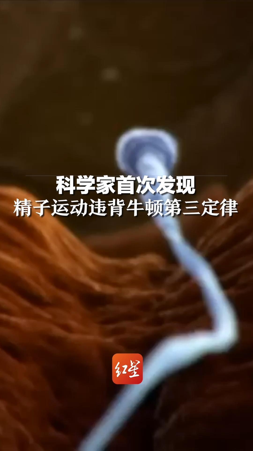 科学家首次发现精子运动违背牛顿第三定律