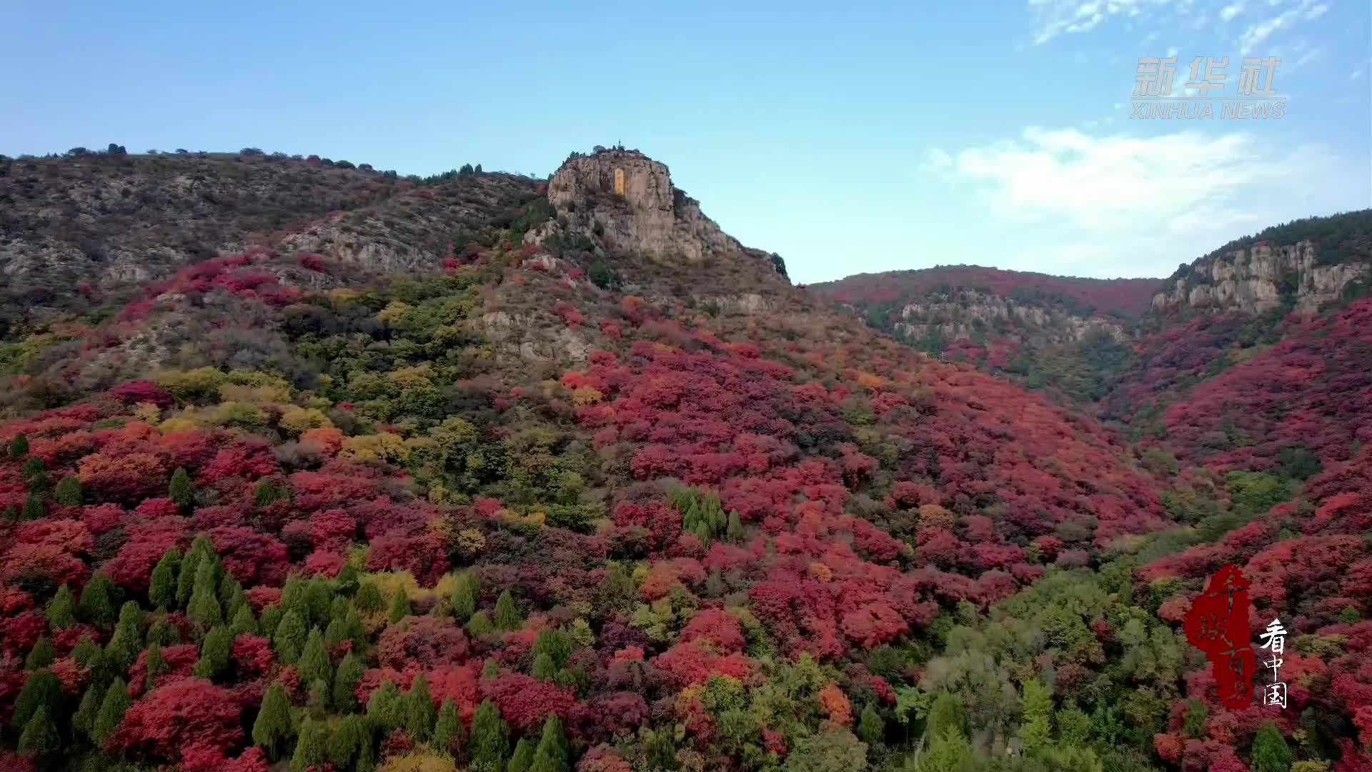 千城百县看中国｜山东临朐：红叶至美 作别金秋