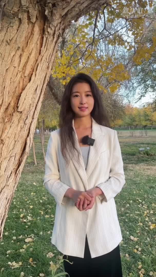 神舟十六号航天员乘组返回地球 大漠胡杨与东风航天人共同守望