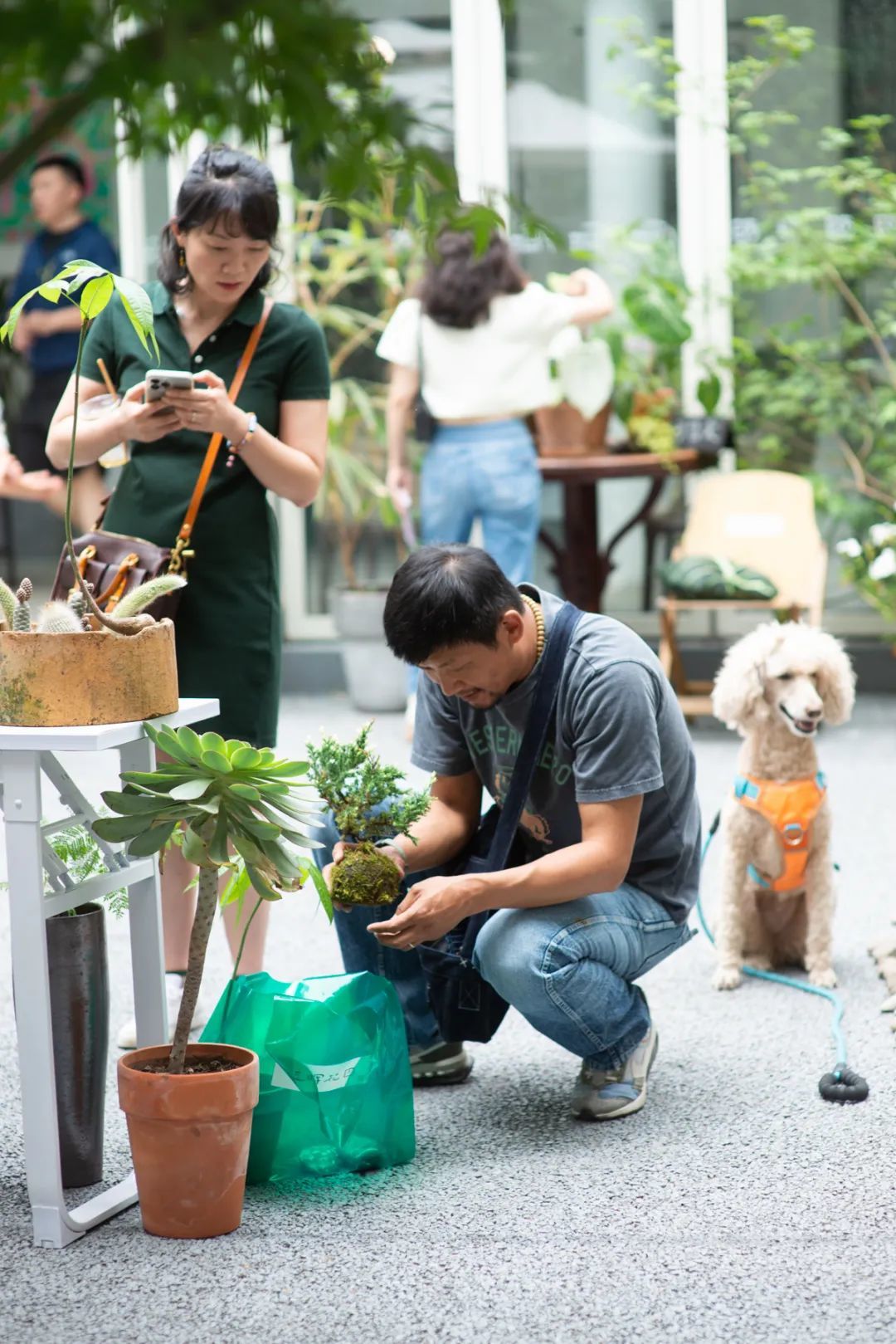 绿植市集结束后，不少附近的居民来选购打折的花草，晚上8点钟开卖。消息一传十、十传百，不一会儿就卖空了（图/远晖 摄）