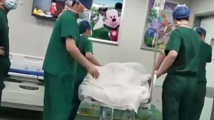 10岁男孩遭阿拉斯加犬咬伤，仍在ICU救治