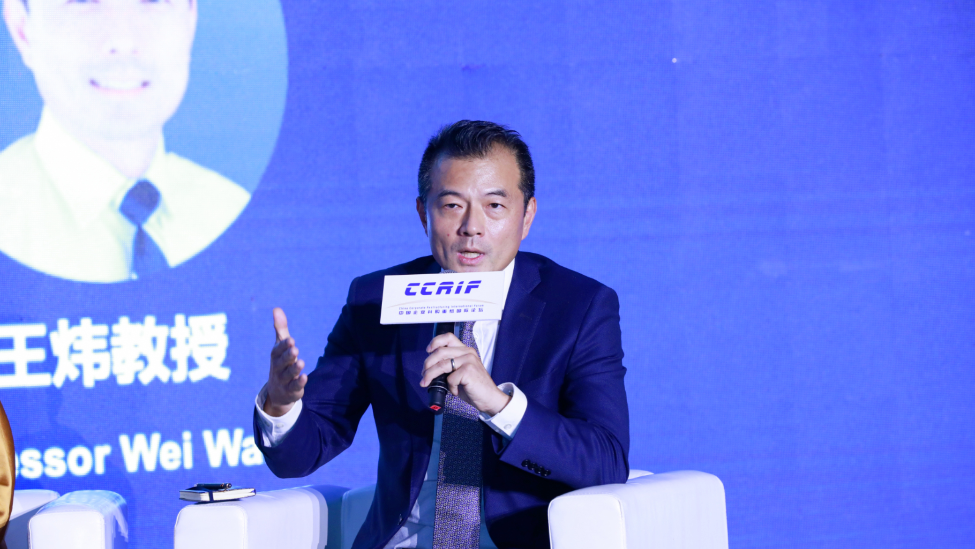 王炜:中国并购重组大时代已经到来_凤凰网