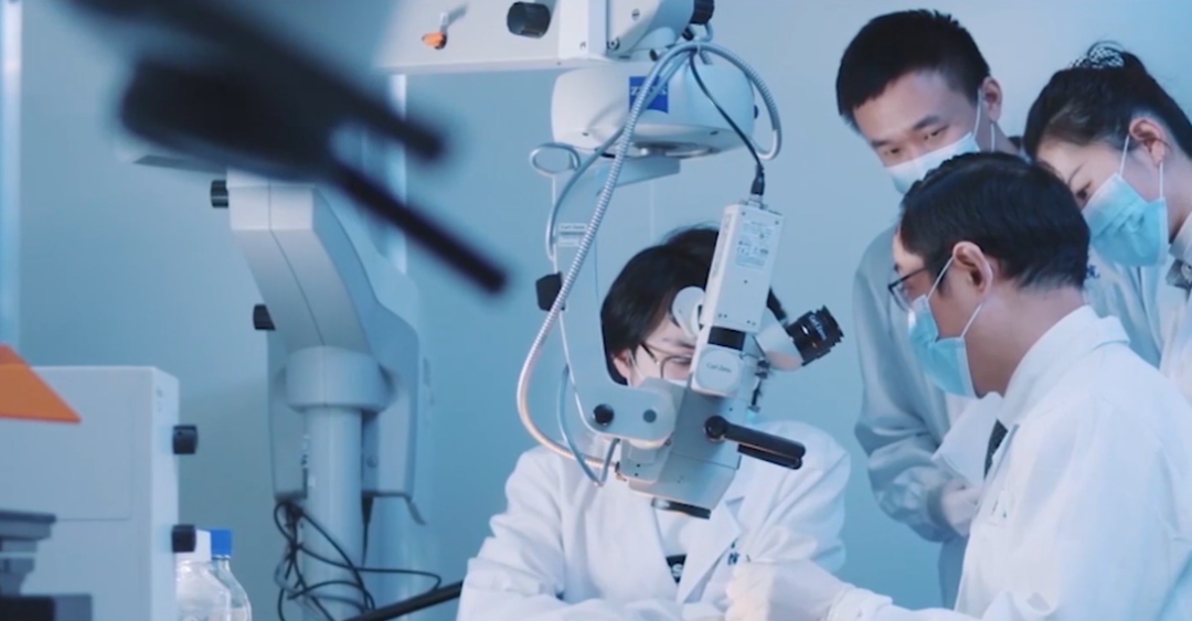 谭毅、王欣博士团队SCI最新研究成果:齐鲁细胞cGMP级干细胞治疗创面取得良好动物治疗效果