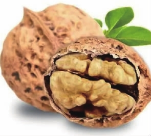 吃核桃　莫选“白富美”