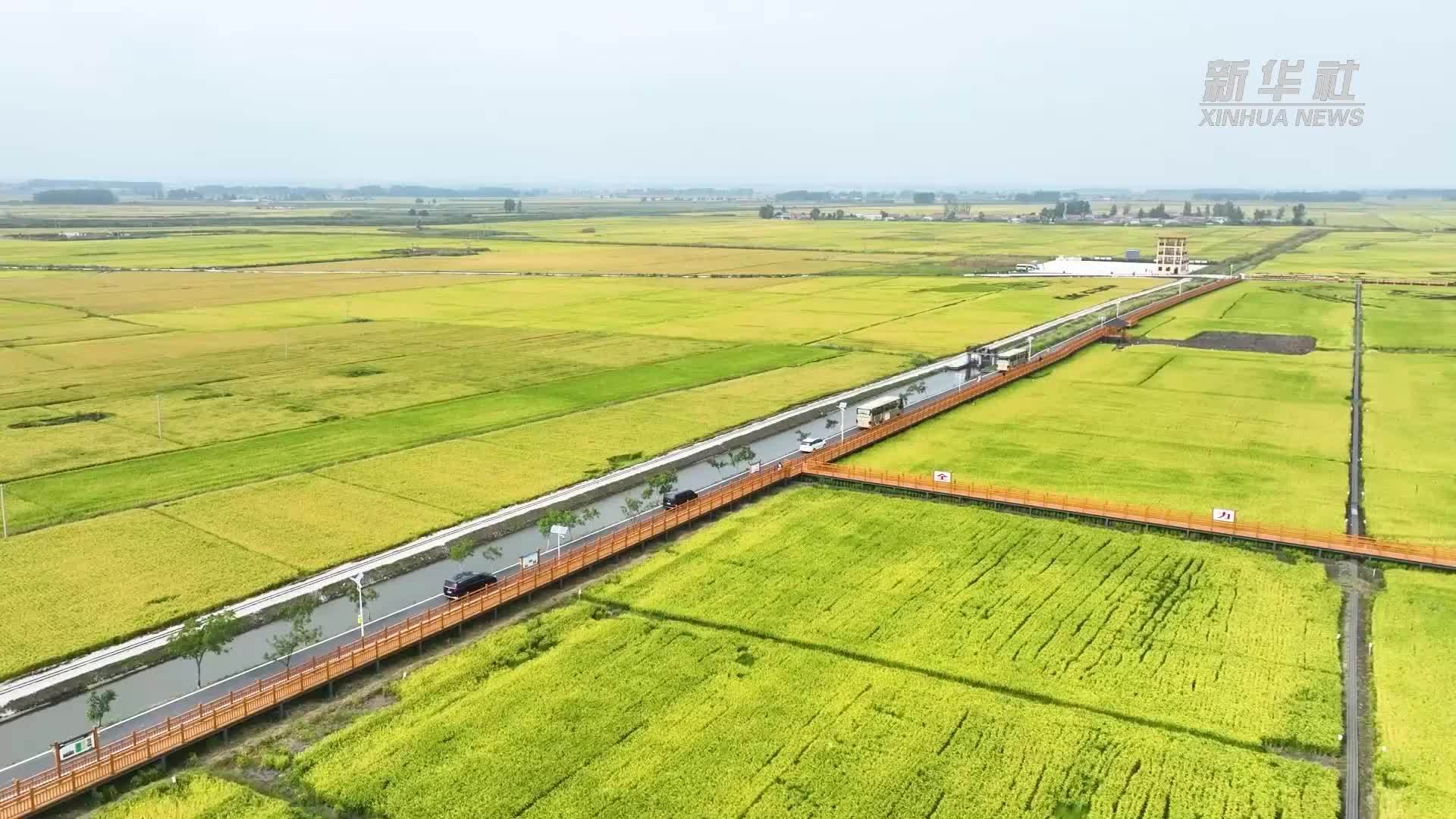 千城胜景｜吉林双阳：民族元素助力乡村振兴_凤凰网视频_凤凰网