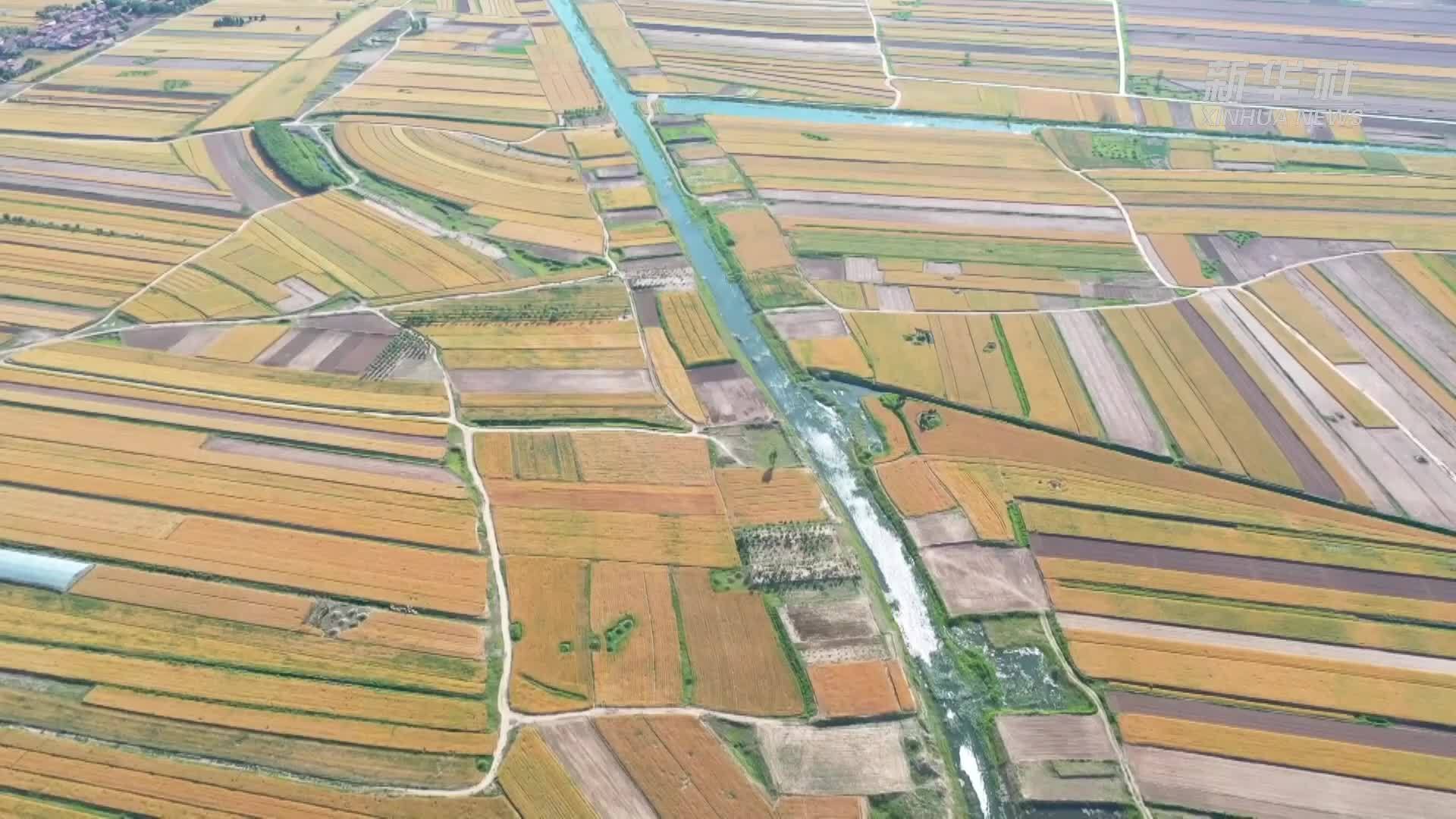 千城胜景｜河北沧县：金秋时节丰收美