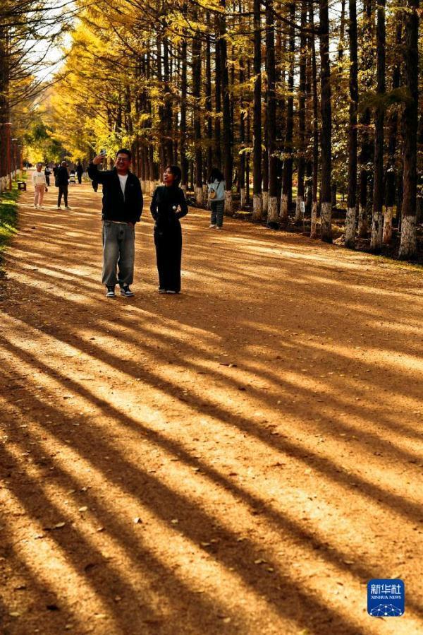 市民在长春市百木园散步拍照（10月19日摄）。