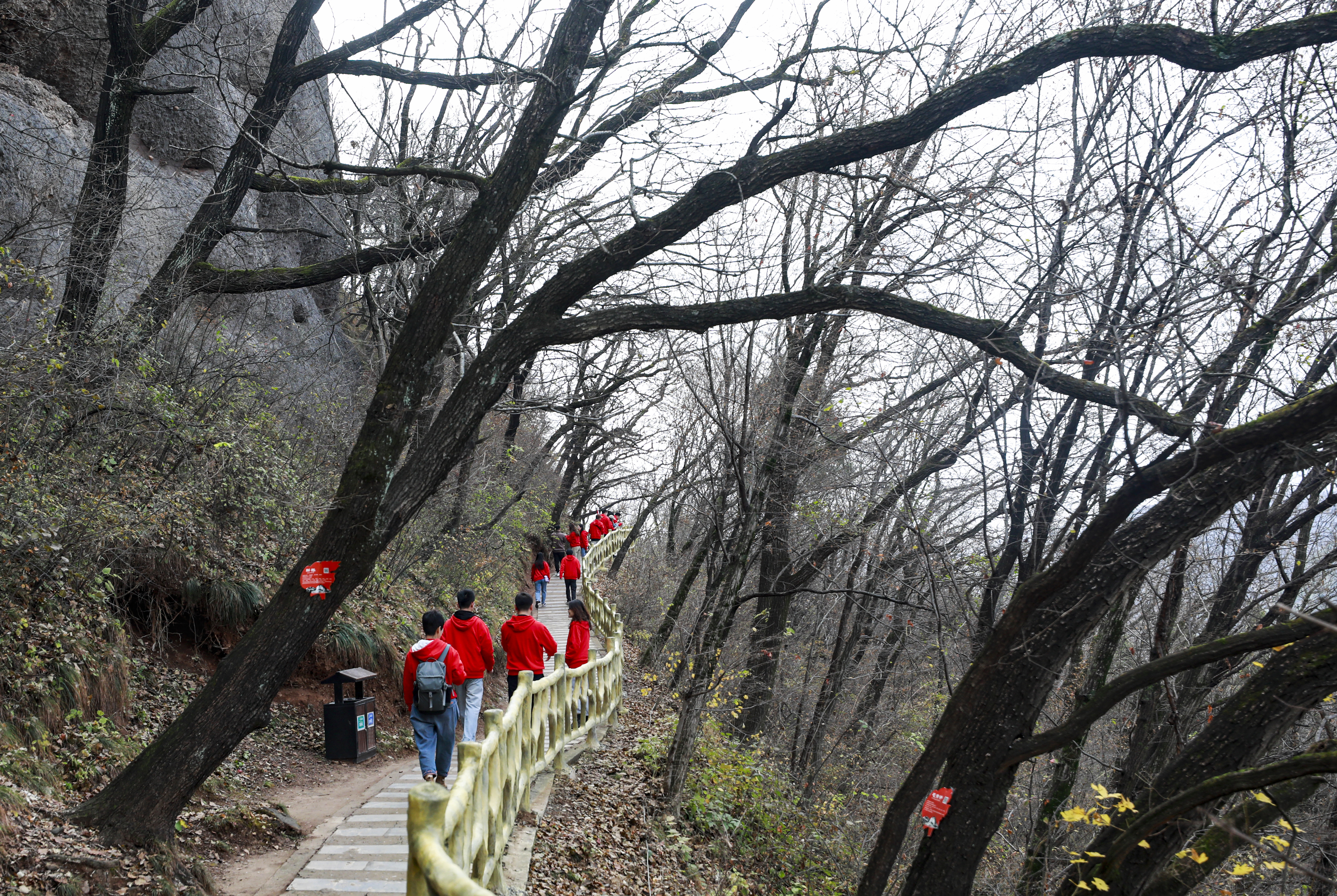 采访团走进薛家寨革命旧址学习参观