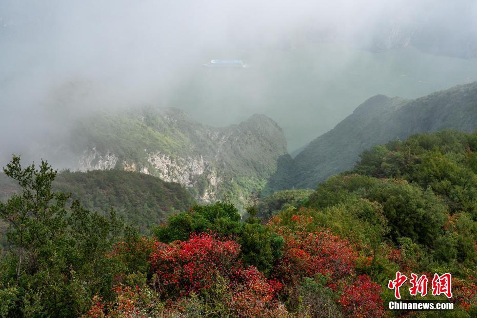 航拍秋日长江巫峡：红叶点缀 风景如画
