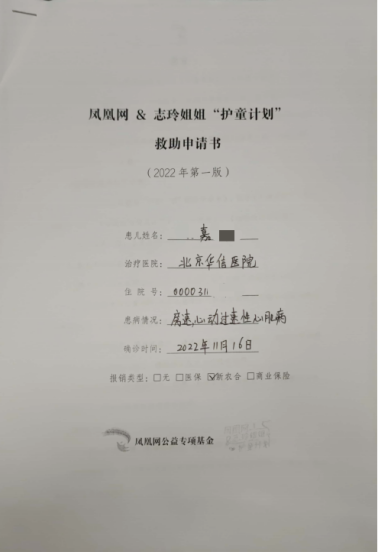 小嘉提交的救助申请书