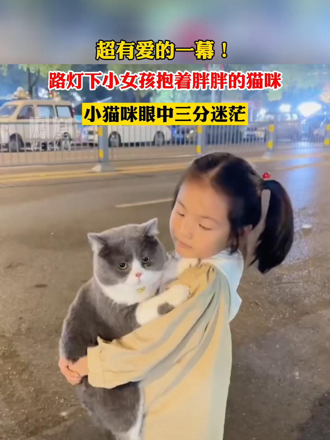 超有爱！#路灯下小女孩抱着猫咪 #热点知多少 （视频来源：@百万的朋友圈 ）