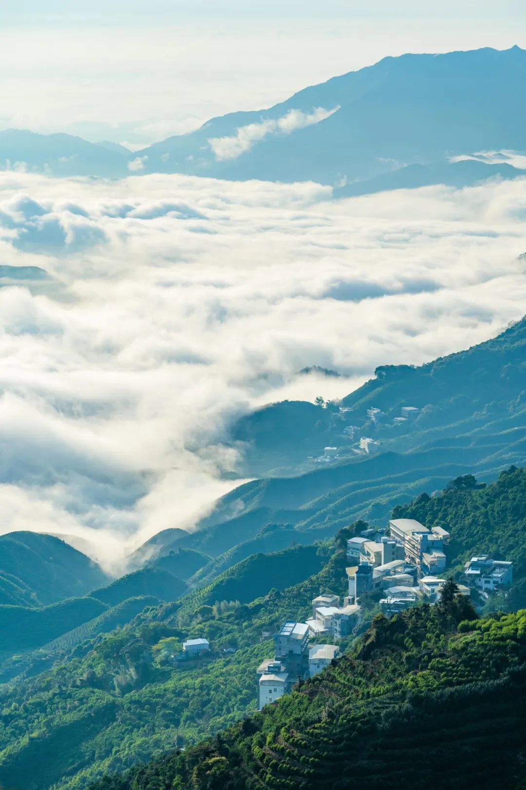 凤凰乌岽山顶，坐看潮州茶千百年来的云卷云舒