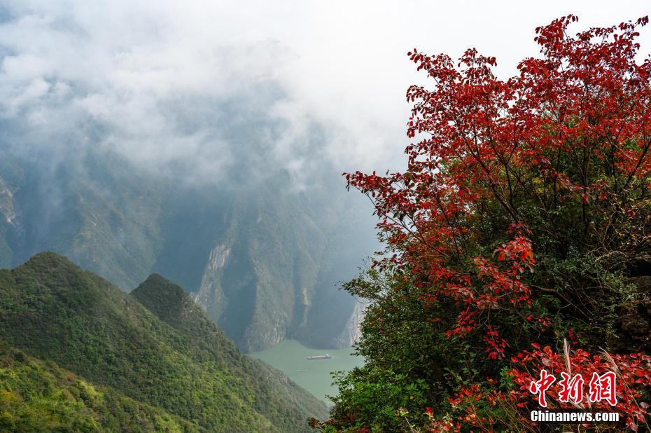 航拍秋日长江巫峡：红叶点缀 风景如画