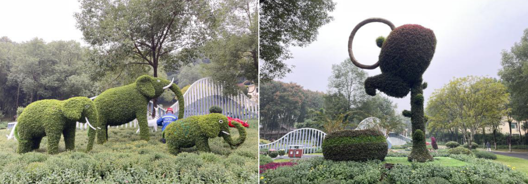 宜春第十届菊花展将于11月1日至11月30日举办