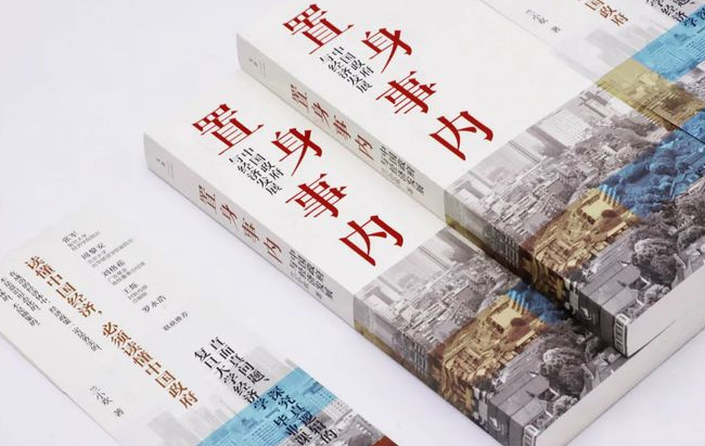政能亮｜“置身事内”，作为一种观察现状的方法