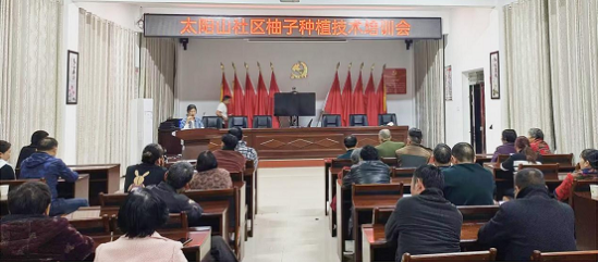 香柚种植培训会