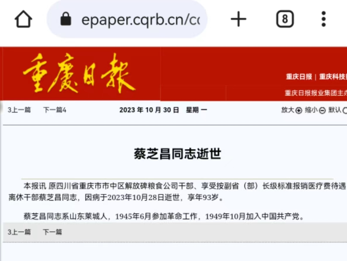 重庆日报官网截图