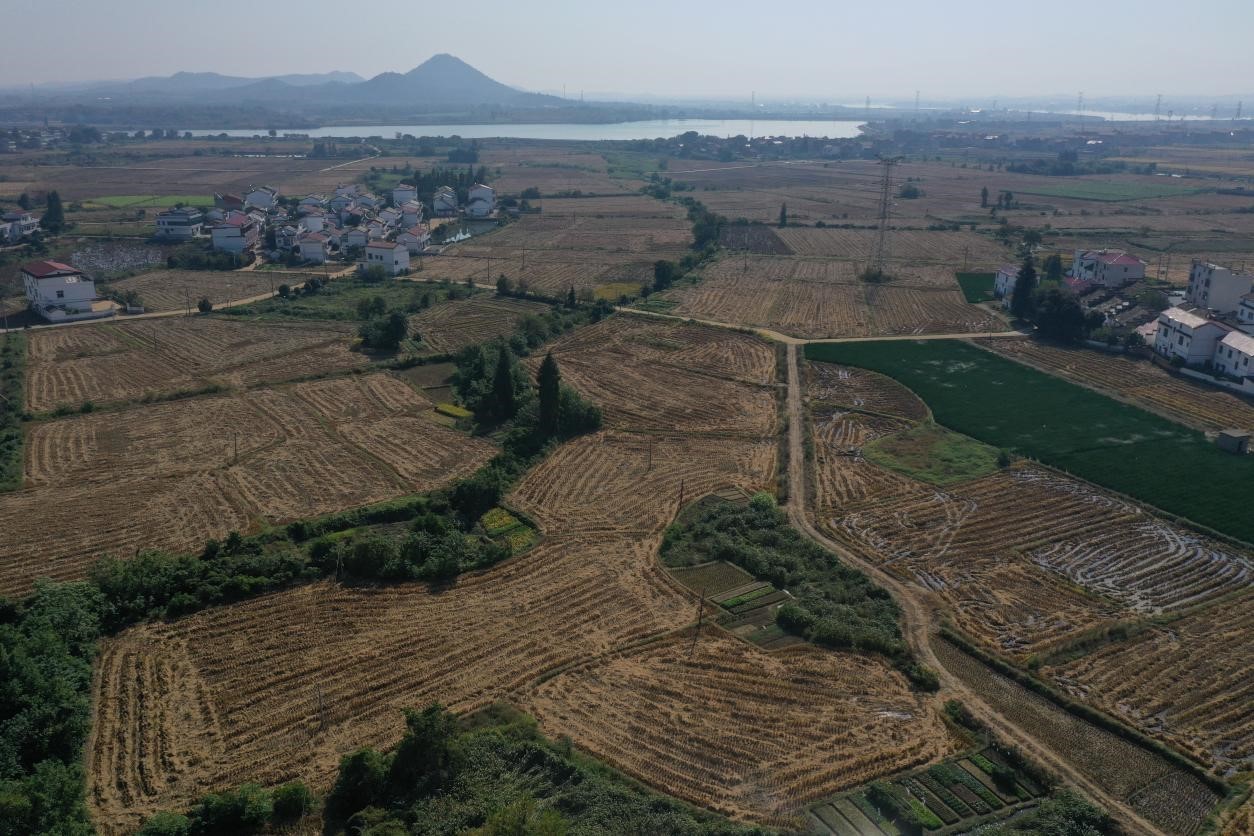 南昌县三江镇党员示范让农户口袋鼓起来