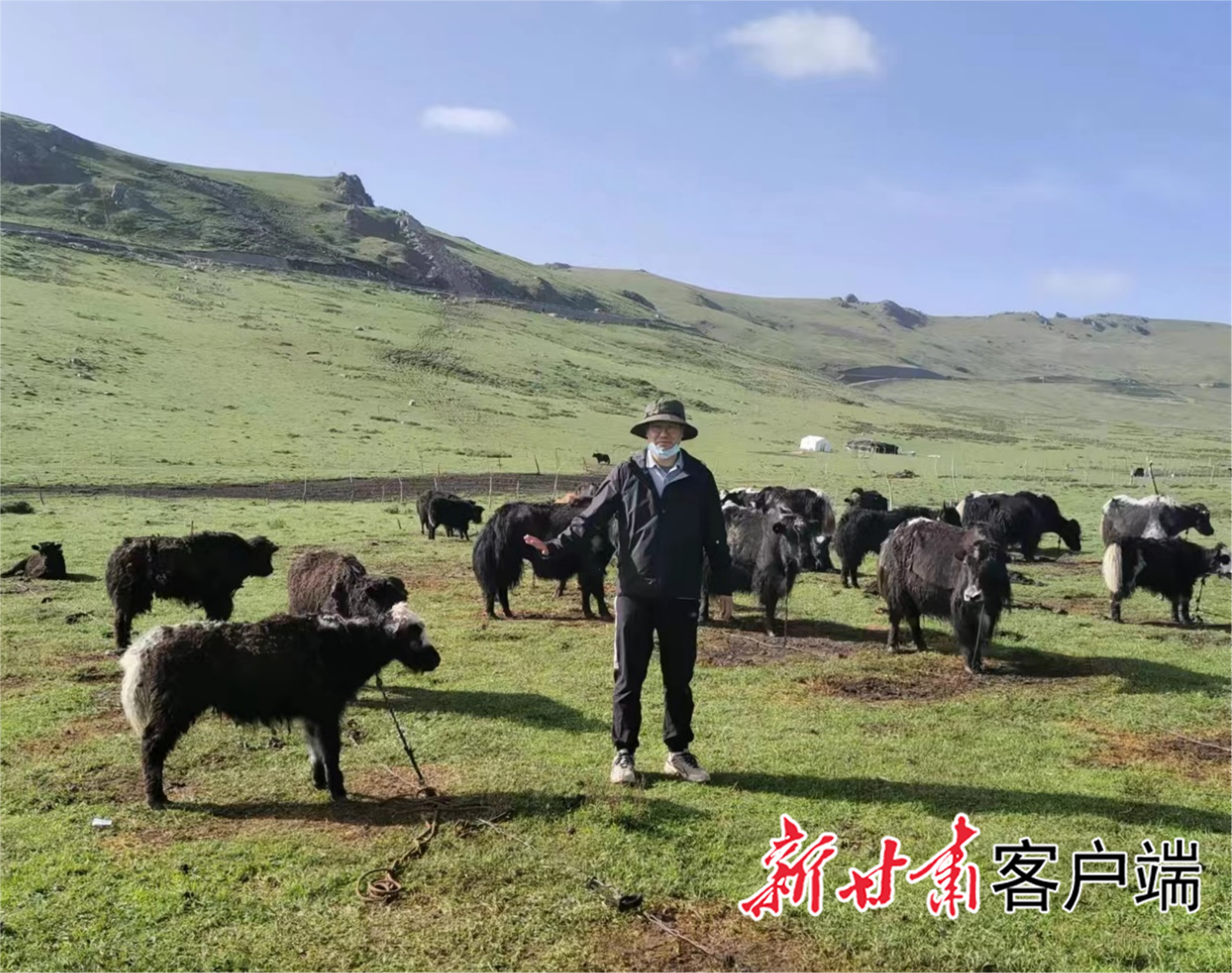 科研人员深入牦牛群