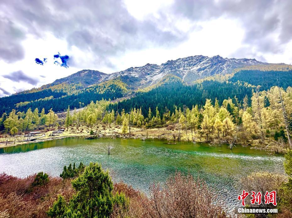 四川小金玛嘉沟：半山彩林半山雪 景色仿如仙境