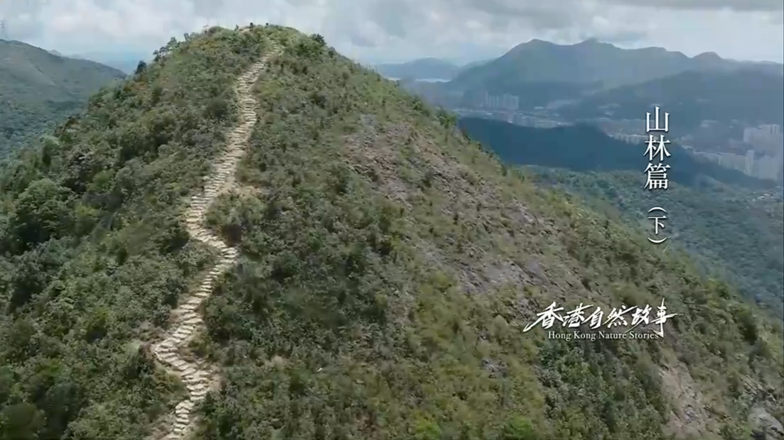 《香港自然故事》第二集山林篇（下）