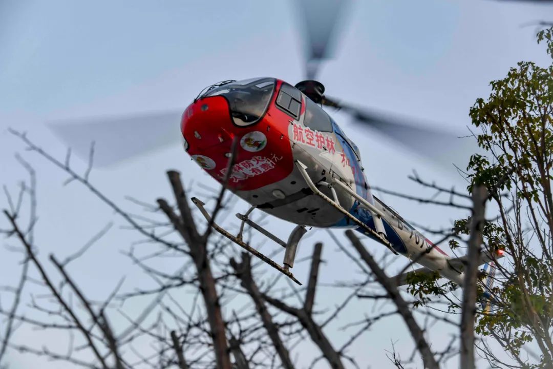 2018年12月13日AC311景德镇北高铁站执行航空护林飞行。（汤向伟 摄 ）