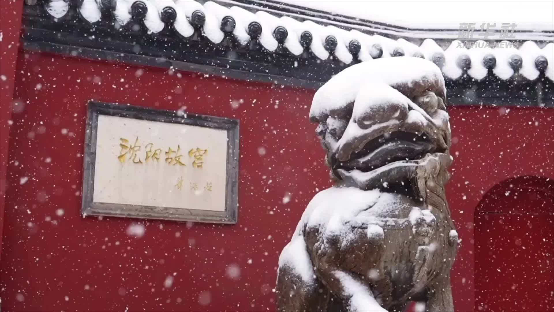 沈阳故宫迎来今冬初雪