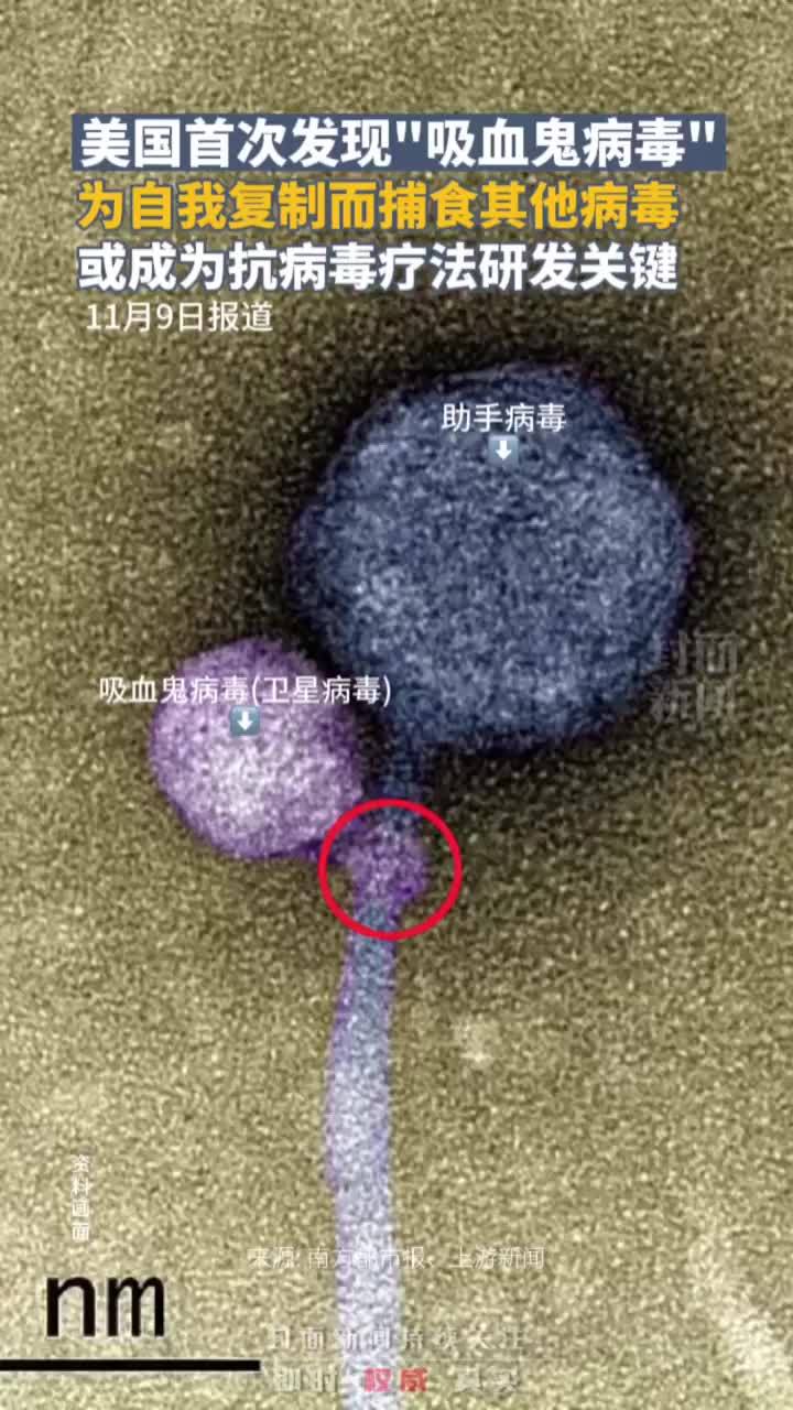 美国首次发现“吸血鬼病毒”，为自我复制而捕食其他病毒，或成抗病毒疗法的研发关键