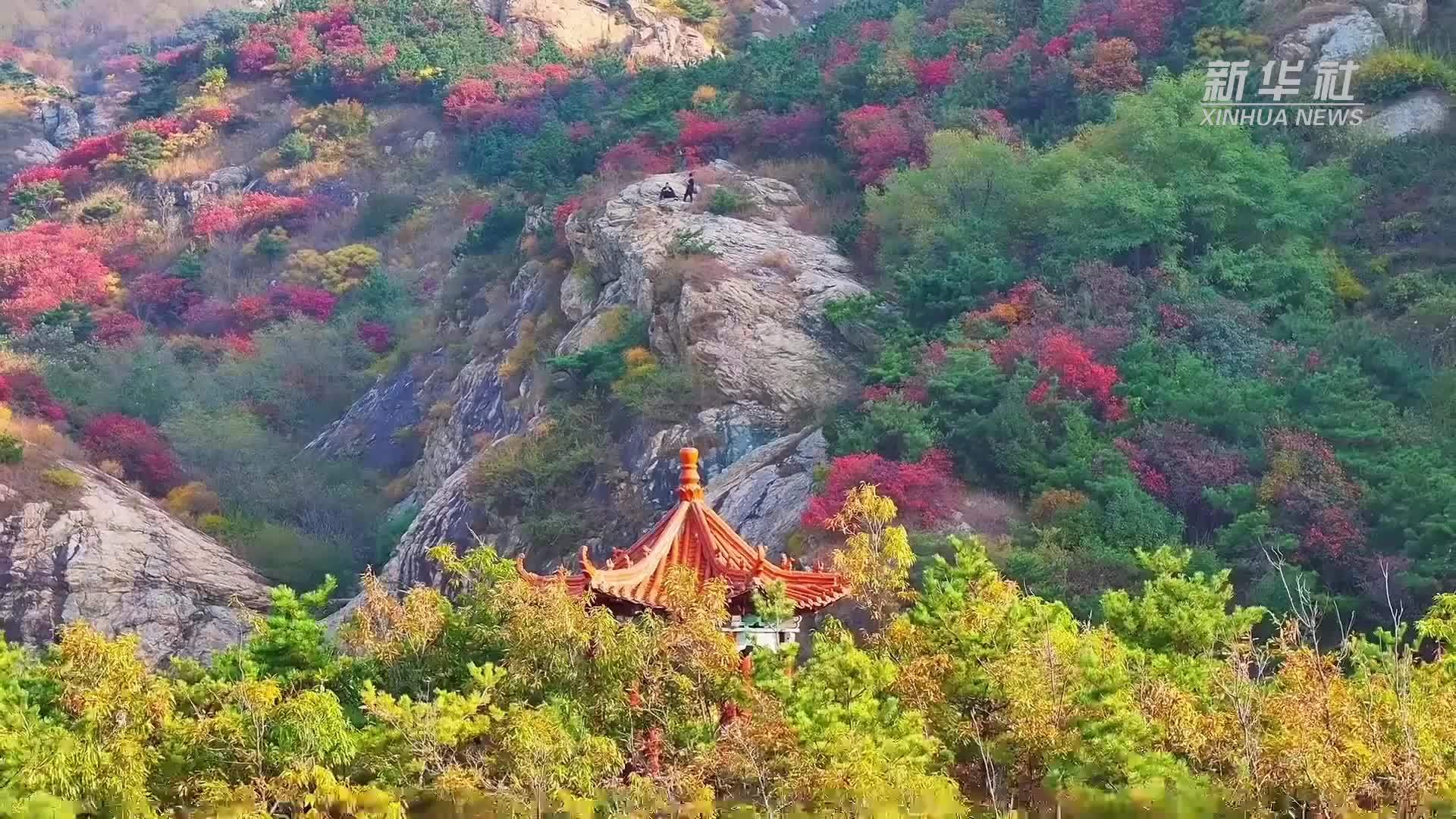 瞰中国｜山东五莲：漫山红叶醉深秋 层林尽染美如画