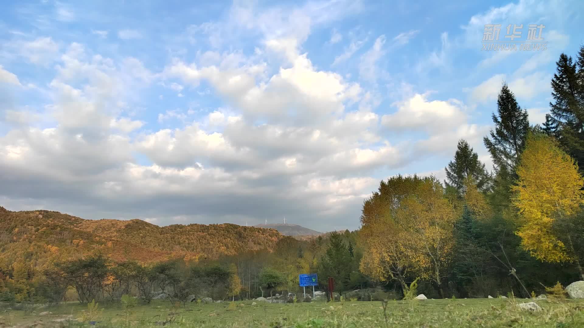 山西庞泉沟国家级自然保护区：秋景美如画