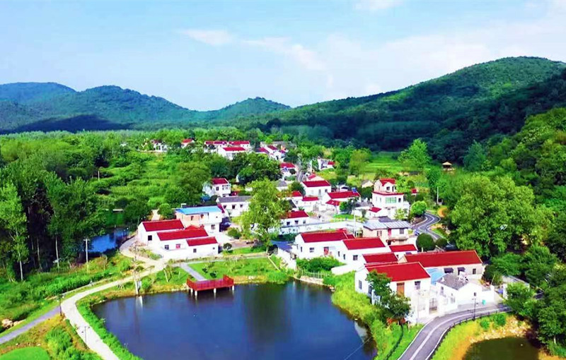 善厚镇凤台村陈百户自然村全景
