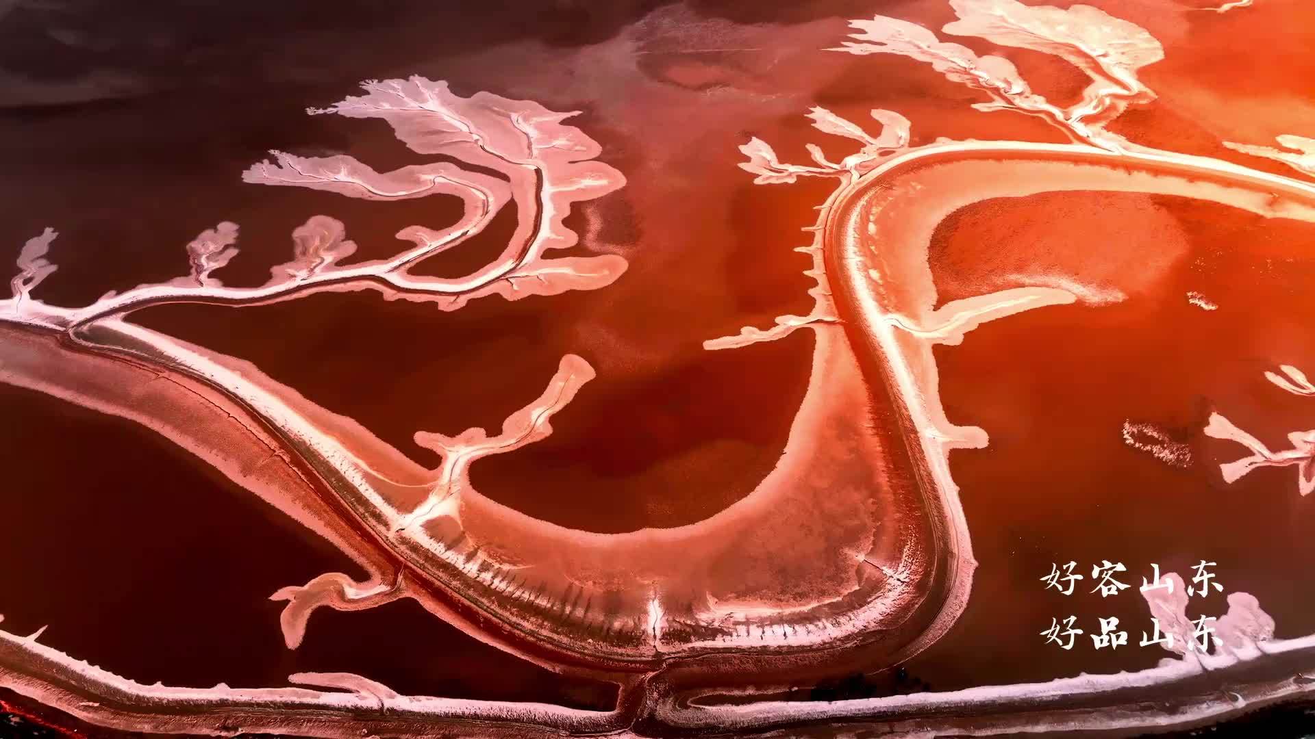 “好客山东 好品山东”2023北京推介活动将于11月10日起举行