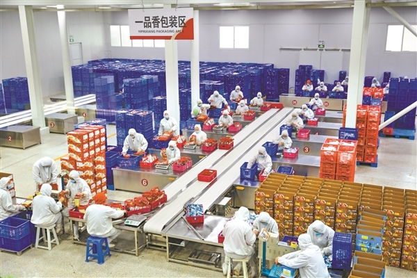 图为平遥牛肉集团有限公司产品包装生产线。晋中日报记者 张浩亮 摄