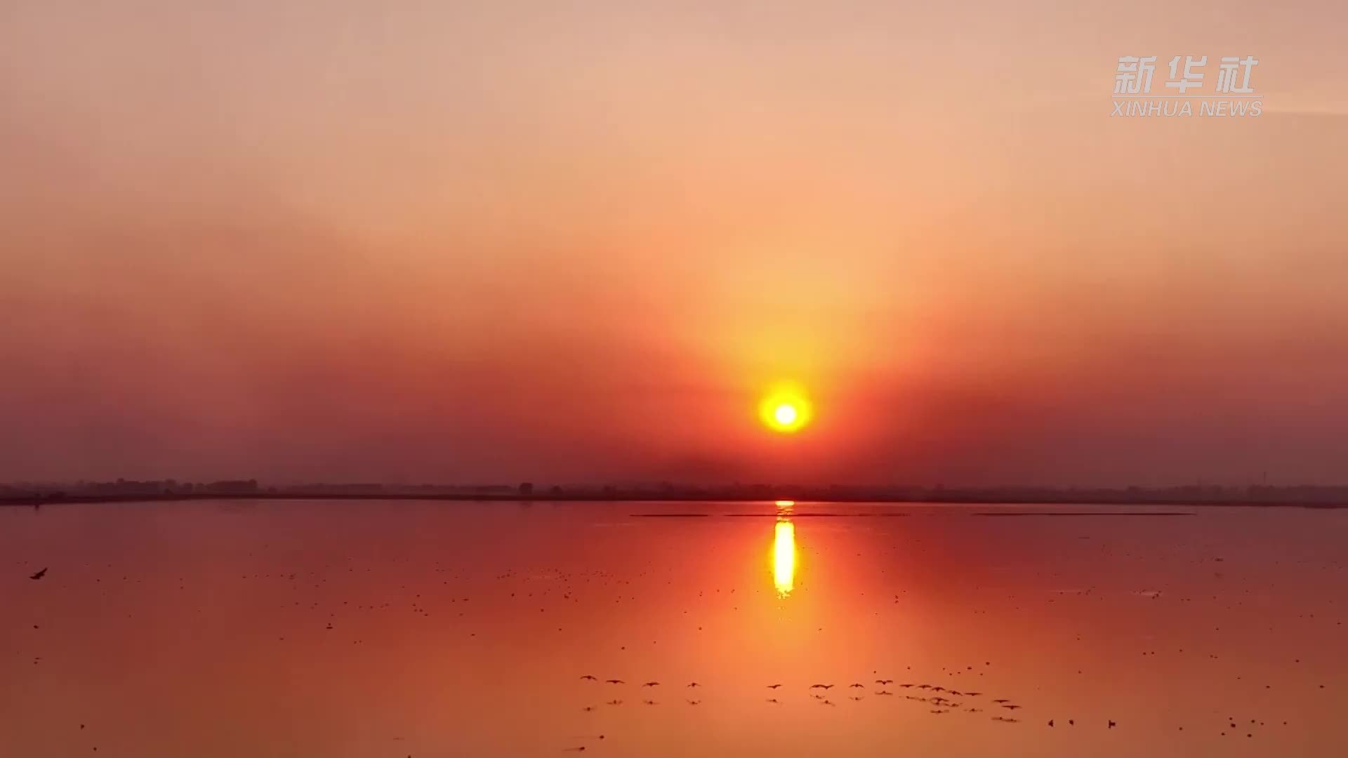 千城胜景｜候鸟南归