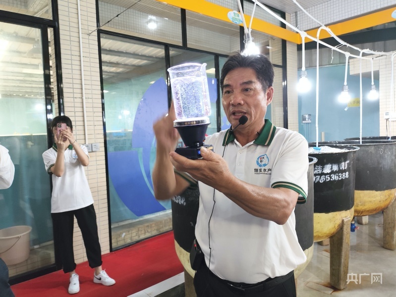 阳西县恒生水产养殖专业合作社负责人林李泉介绍鱼苗繁殖情况