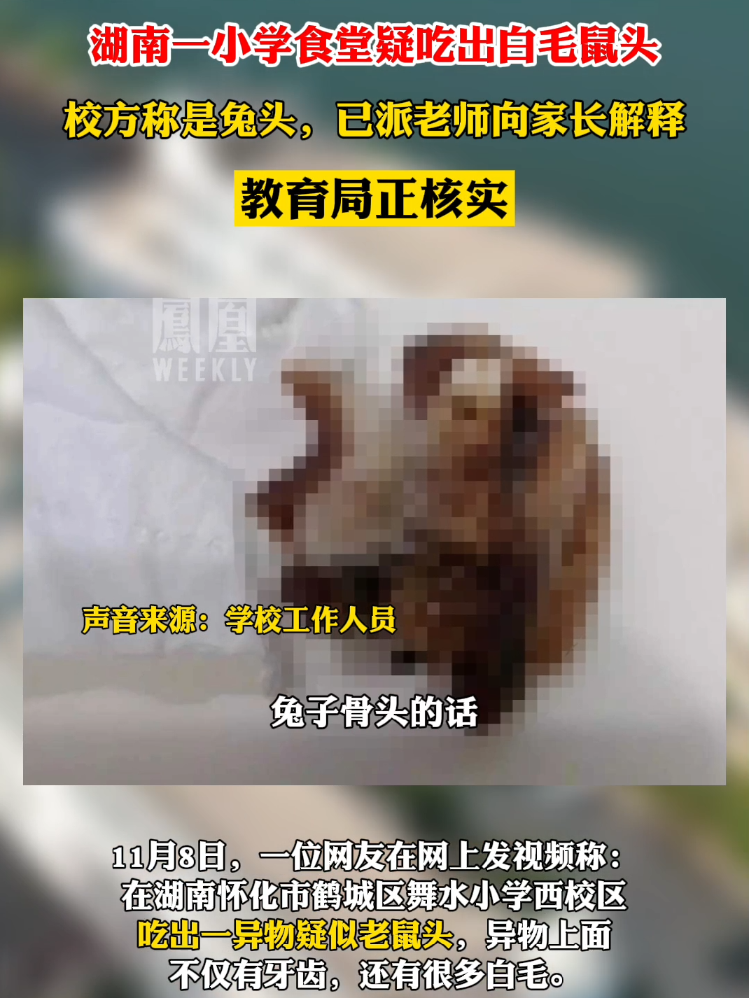 湖南一小学食堂吃出白毛鼠头，校方称是兔头#热点知多少