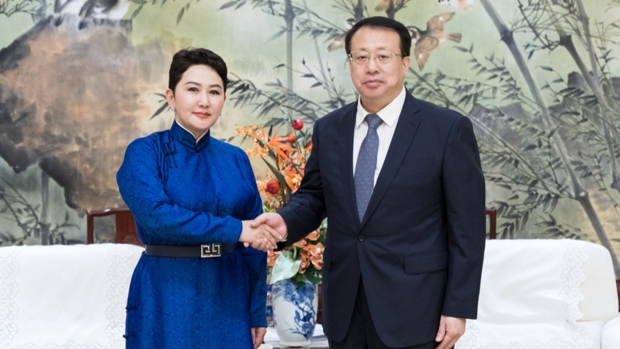 上海市长龚正会见蒙古国外长:蒙古的草原风光令游客向往,期待加强旅游合作_凤凰网