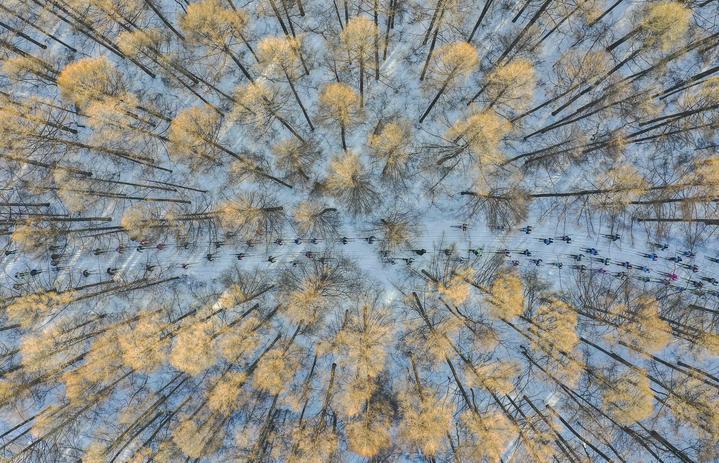 参赛选手在2020中国长春净月潭瓦萨国际滑雪节暨2020国际雪联越野滑雪中国巡回赛长春站比赛中（无人机照片）。新华社记者 许畅 摄