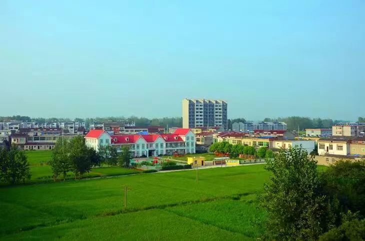善厚镇镇区局部图