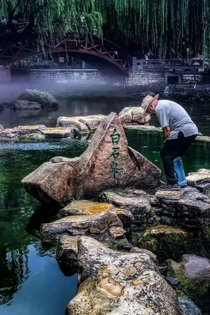 摄影：陈铟，2023年8月于护城河白石泉