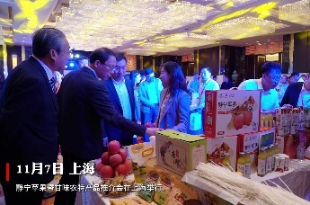 静宁“金果”进博会上大放异彩　揽金超10亿